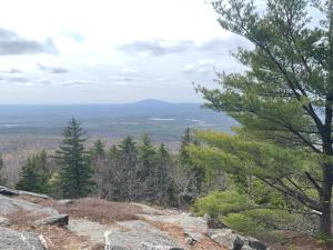 Greater New Boston Area