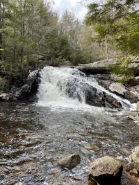 Greater New Boston Area Creek 