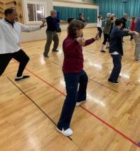 Theresa Single Whip Group Class